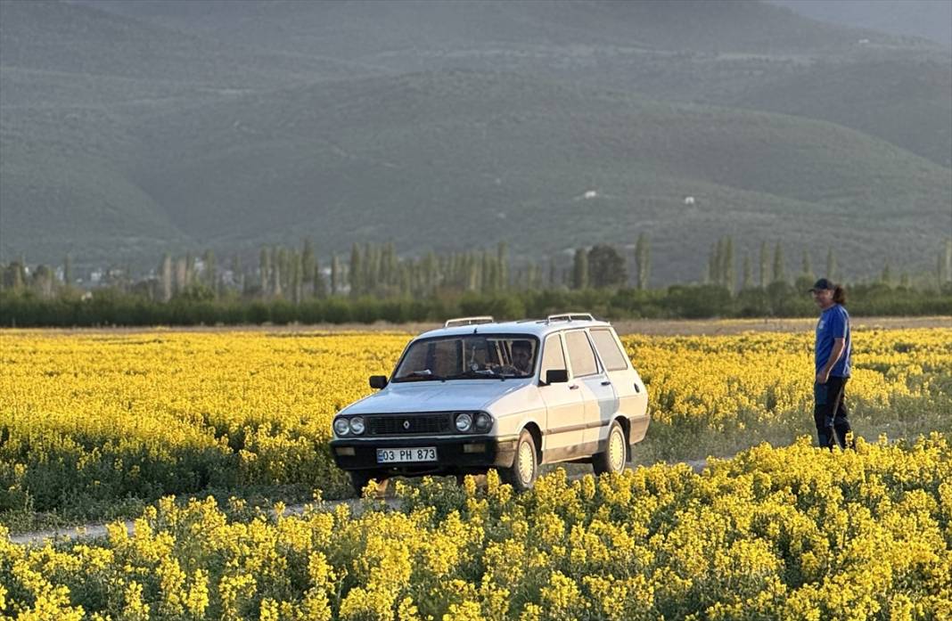 Konya’nın kuruyan gölünü altın sarısı renklendirdi 4